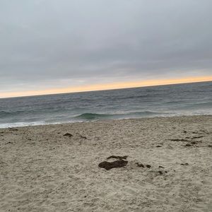 Meet your Posher, Clara